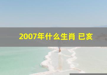 2007年什么生肖 已亥